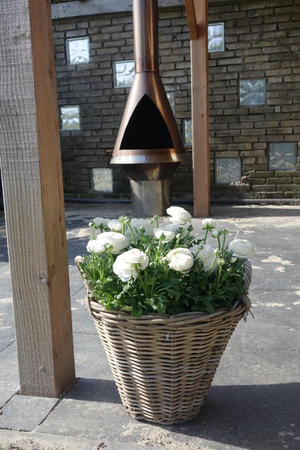 Hotel Het Anker Van Texel デ・カクスドルプ エクステリア 写真
