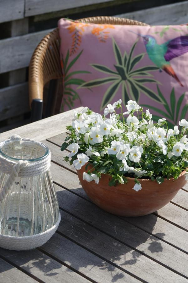 Hotel Het Anker Van Texel デ・カクスドルプ エクステリア 写真